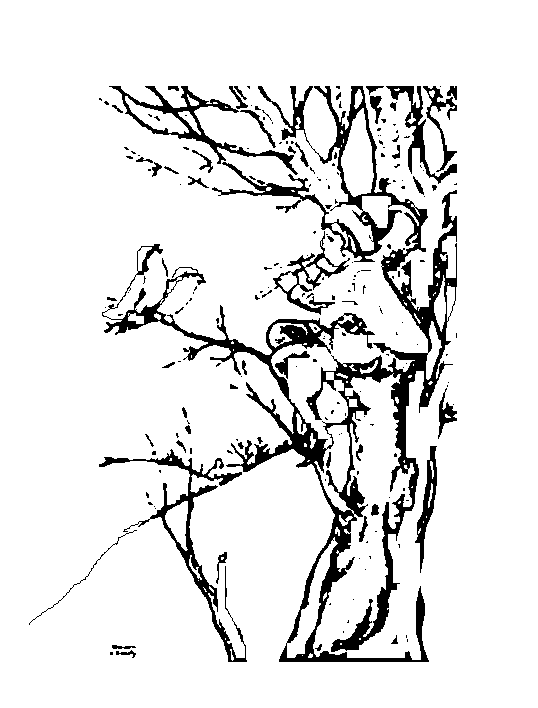boy elf in tree playing a flute for birds