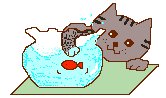 A picture of Wonder trying to reach the goldfish