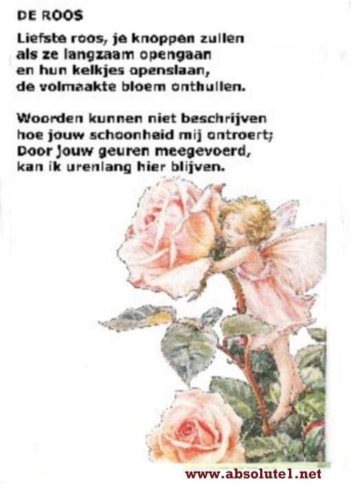 mary cicely barker - bloemenkind met roos