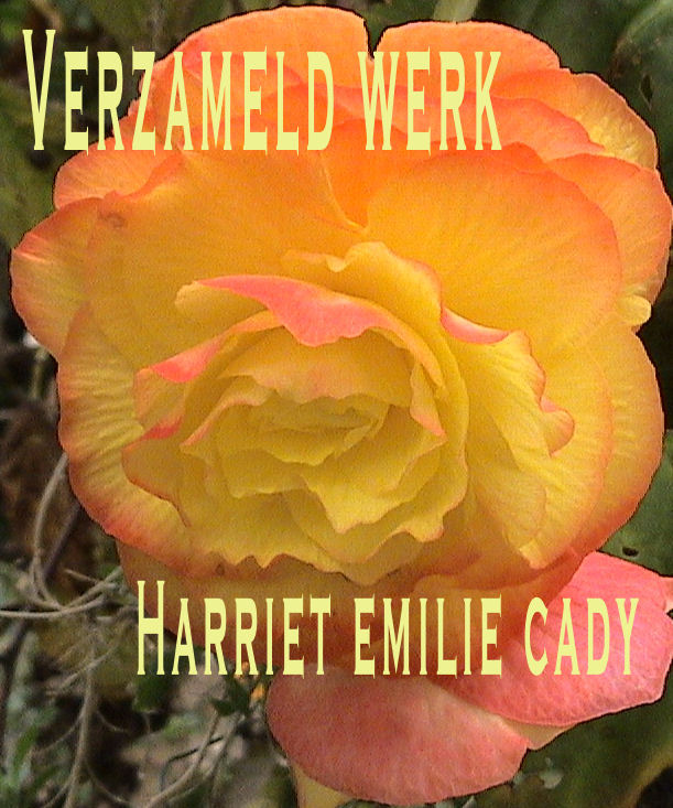 kaft van Harriet Emilie Cady's Verzameld werk