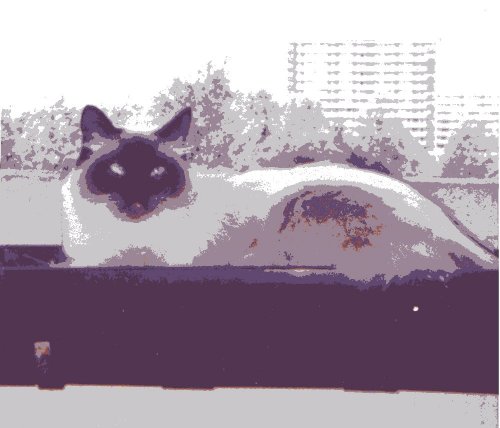 inspirational stories, free ebooks & fairy tales for children on cats, with cat photos & kitten 
pictures & on elfin, with pictures of faeries and coloring book pages, pictures of kittens,
kitten photos,dog cat pictures,kitten pics