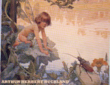  Arthur Herbert Buckland fairy art, faery graphics, faerie painting, fairie images,fae paintings, elf images, and beautiful 
pictures of victorian fairies, also called fairies, fairys, fairyes, faeries, faerys, faeryes, faries, 
farys, by doyle, fitzgerald, delville, duncan, charles robinson and arthur rackham