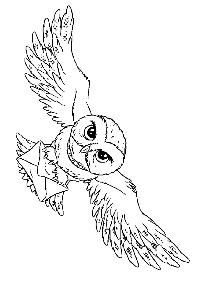 harry potter coloring page